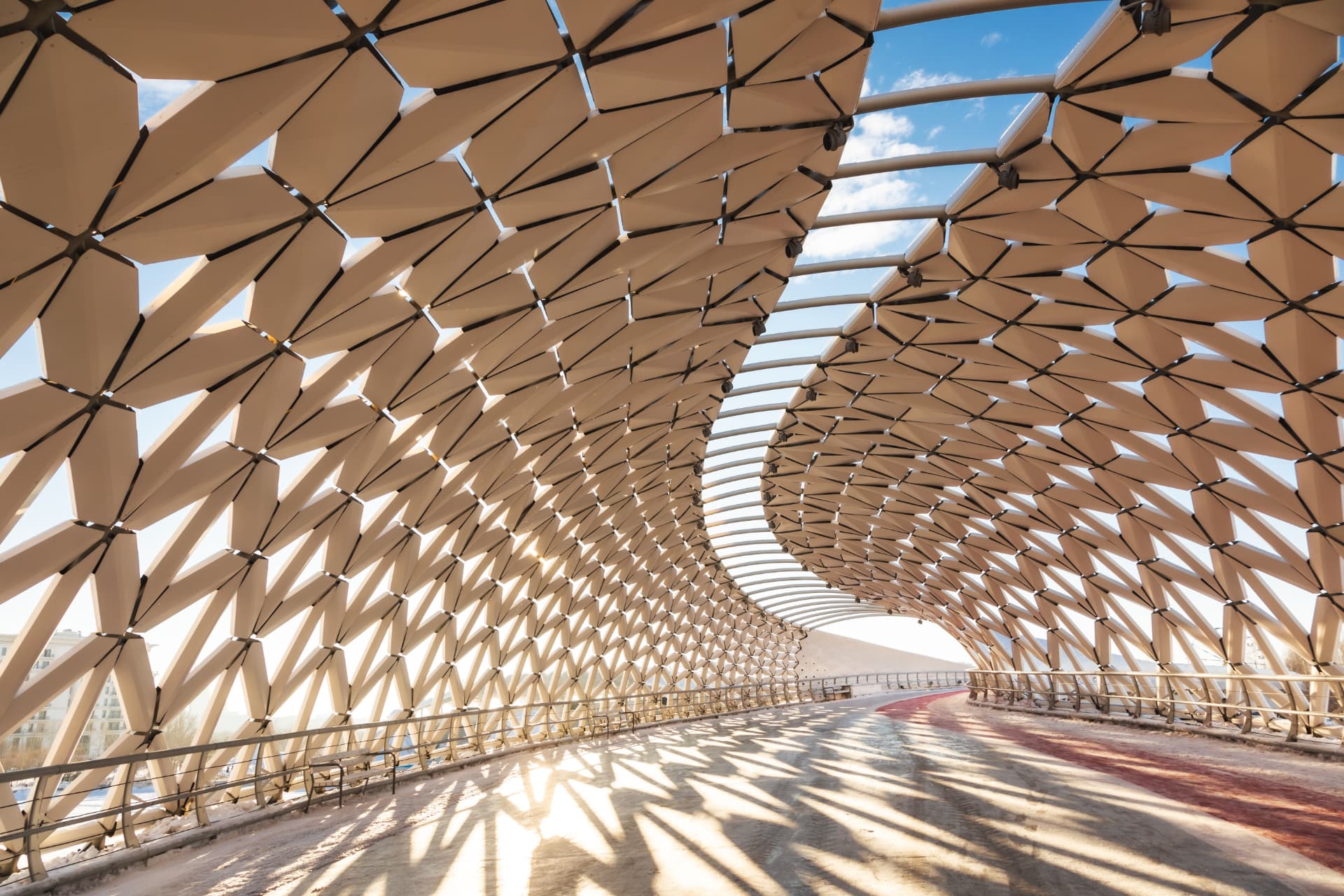 Sunlit latticed canopy arching over a walkway