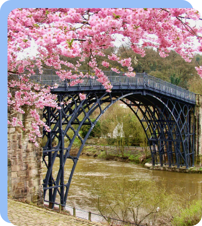 Iron bridge framed by cherry blossoms